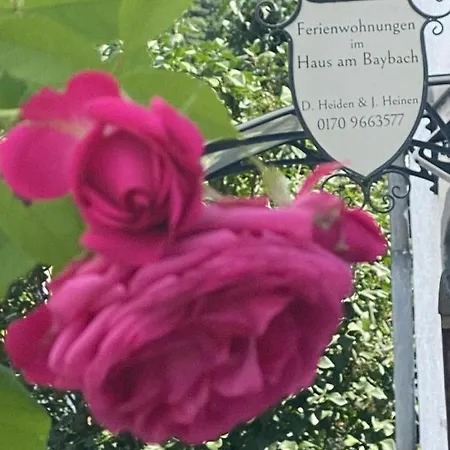 アパート Am Baybach In An Der Mosel