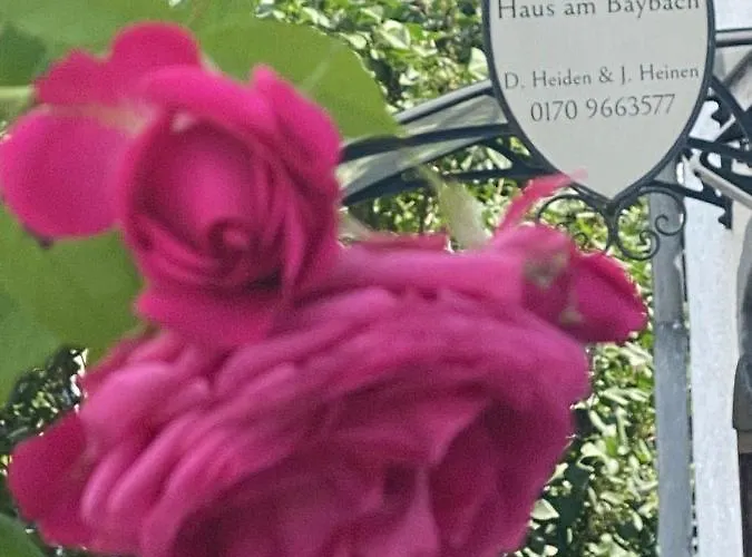 Apartamento Am Baybach In An Der Mosel